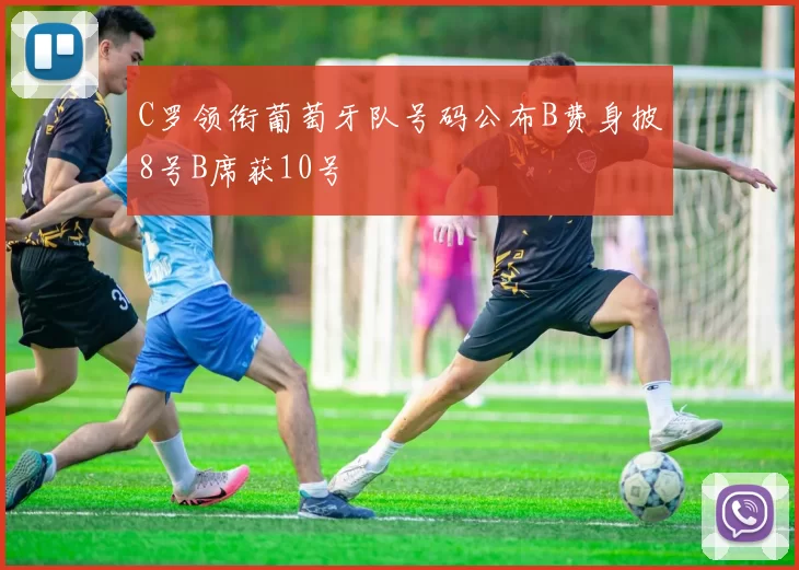 C罗领衔葡萄牙队号码公布B费身披8号B席获10号